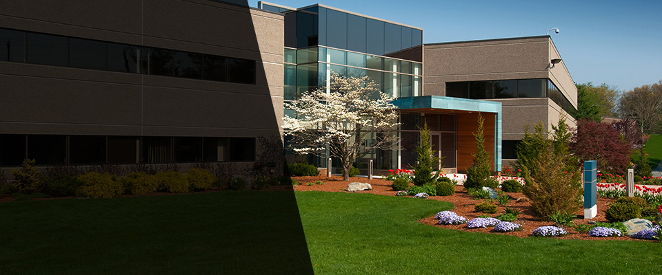 Pinon Hills Landscapers