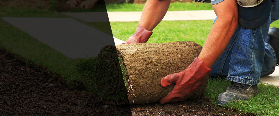 Pinon Hills Landscapers